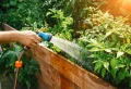 Comment avoir des géraniums bien fleuris : 8 trucs et astuces de grand-mère pour bien soigner vos plants