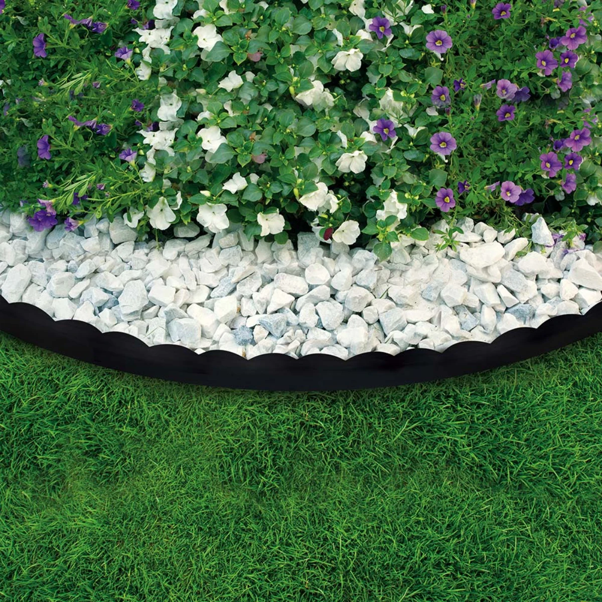 bordure de galets balncs pelouse fleurs blanches et violettes