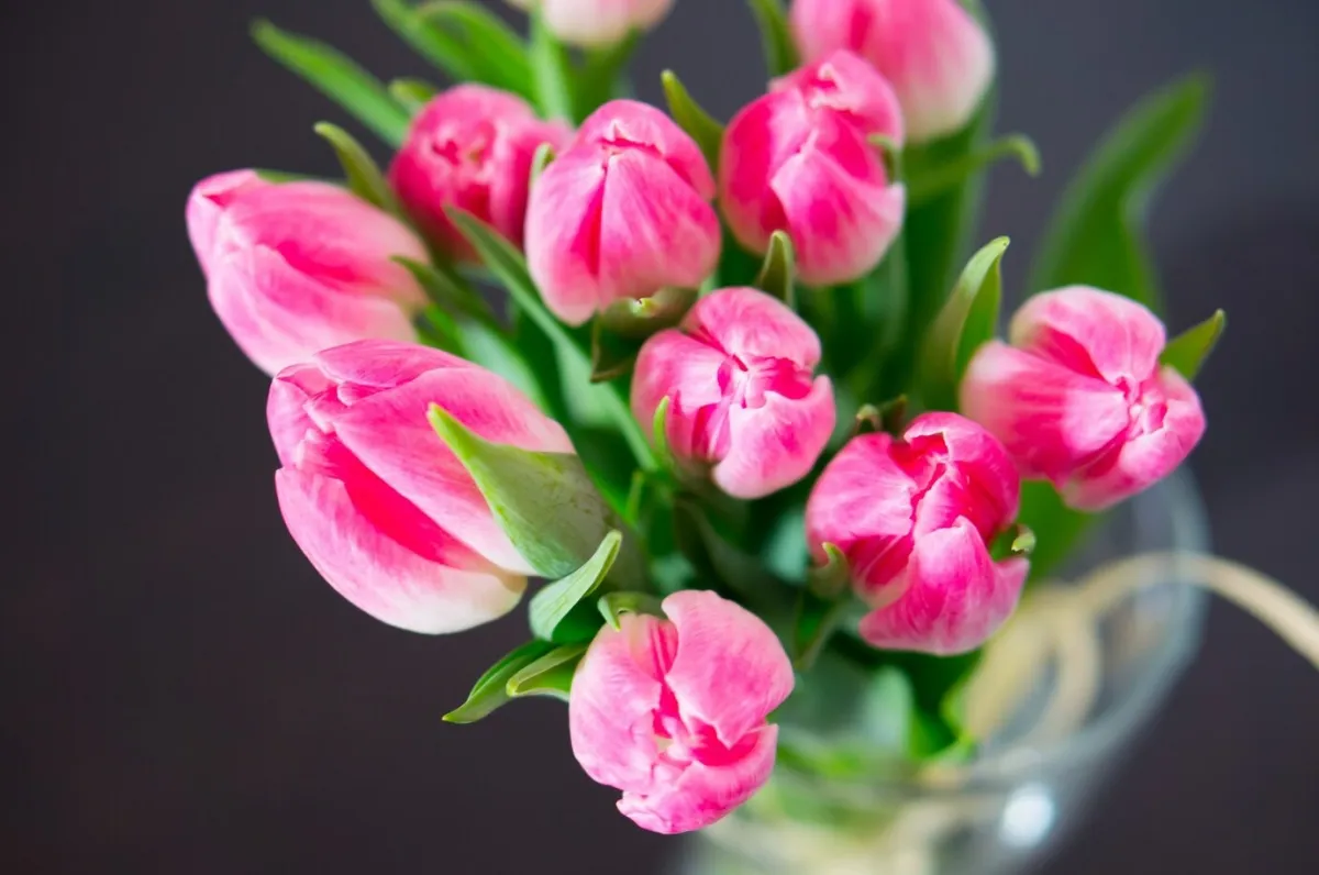 bouquet de tulipes roses feuilles vertes vase transparent haut