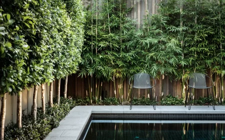 brise vue jardin en bamboo et mur en beton piscine