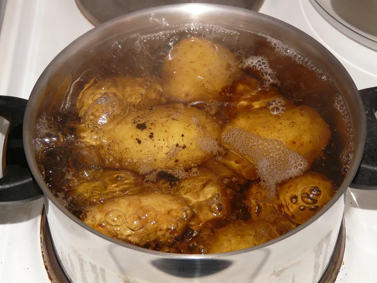 casserole pommes de terre eau bouillante feu cussion legumes