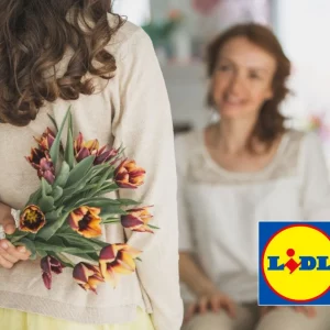 Au catalogue Lidl - un excellent cadeau fête des mères à moins de 5 euros la semaine prochaine
