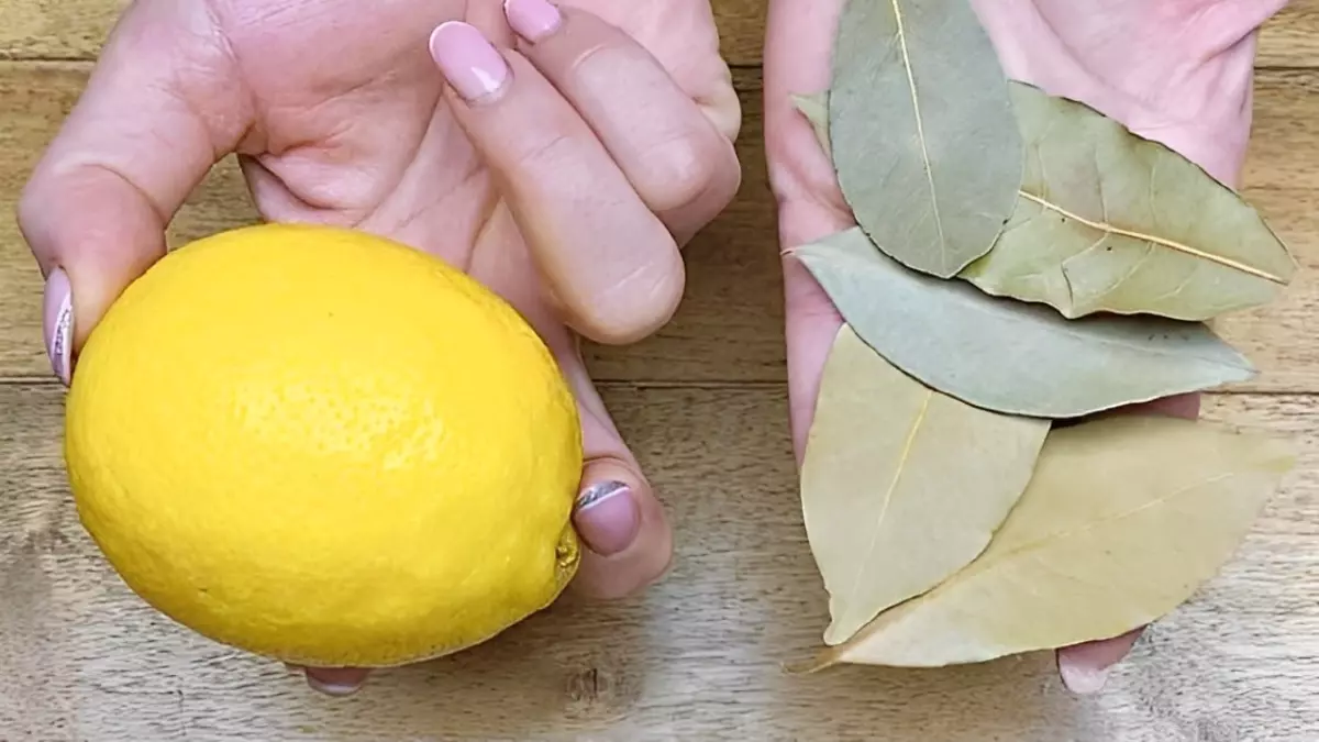 citron dans une main et des feuilles de laurier dans l autre