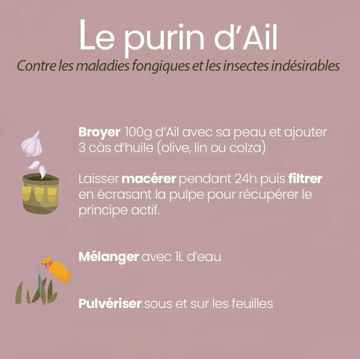 comment fabriquer purin d ail recette