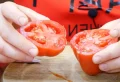 Comment faire pousser des tomates à la maison à partir d’une tomate ? La méthode pas à pas