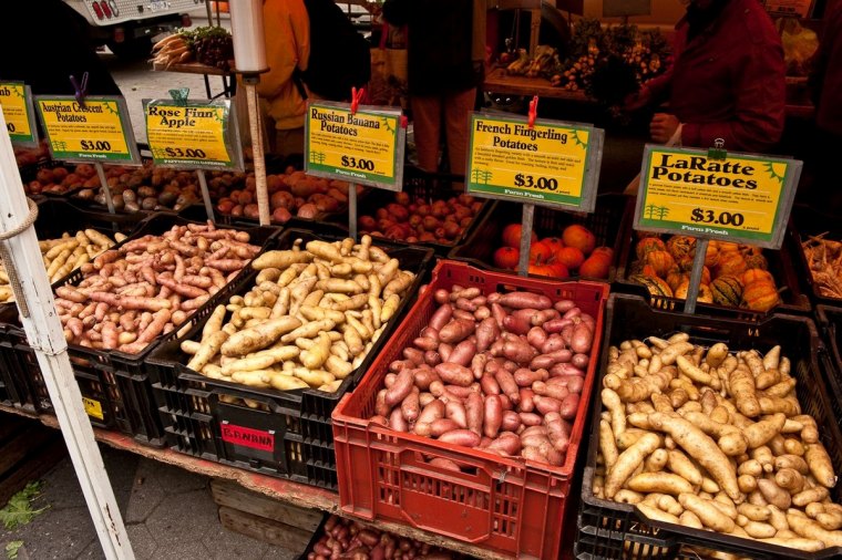 comment traiter les pommes de terre contre le mildiou variete