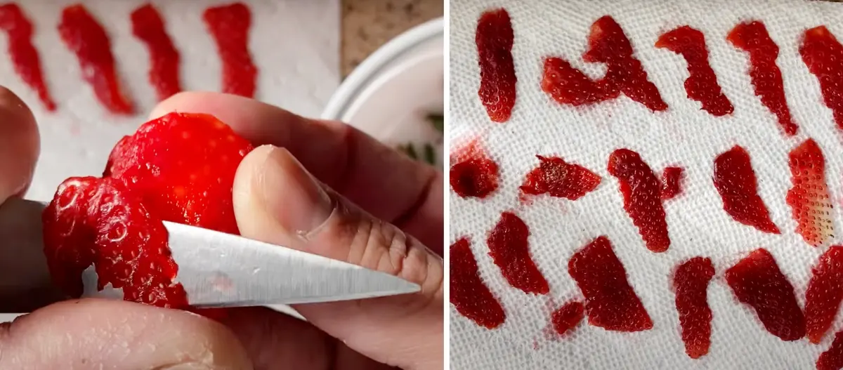 faire secher des fraises serviette papier peau fruits graines