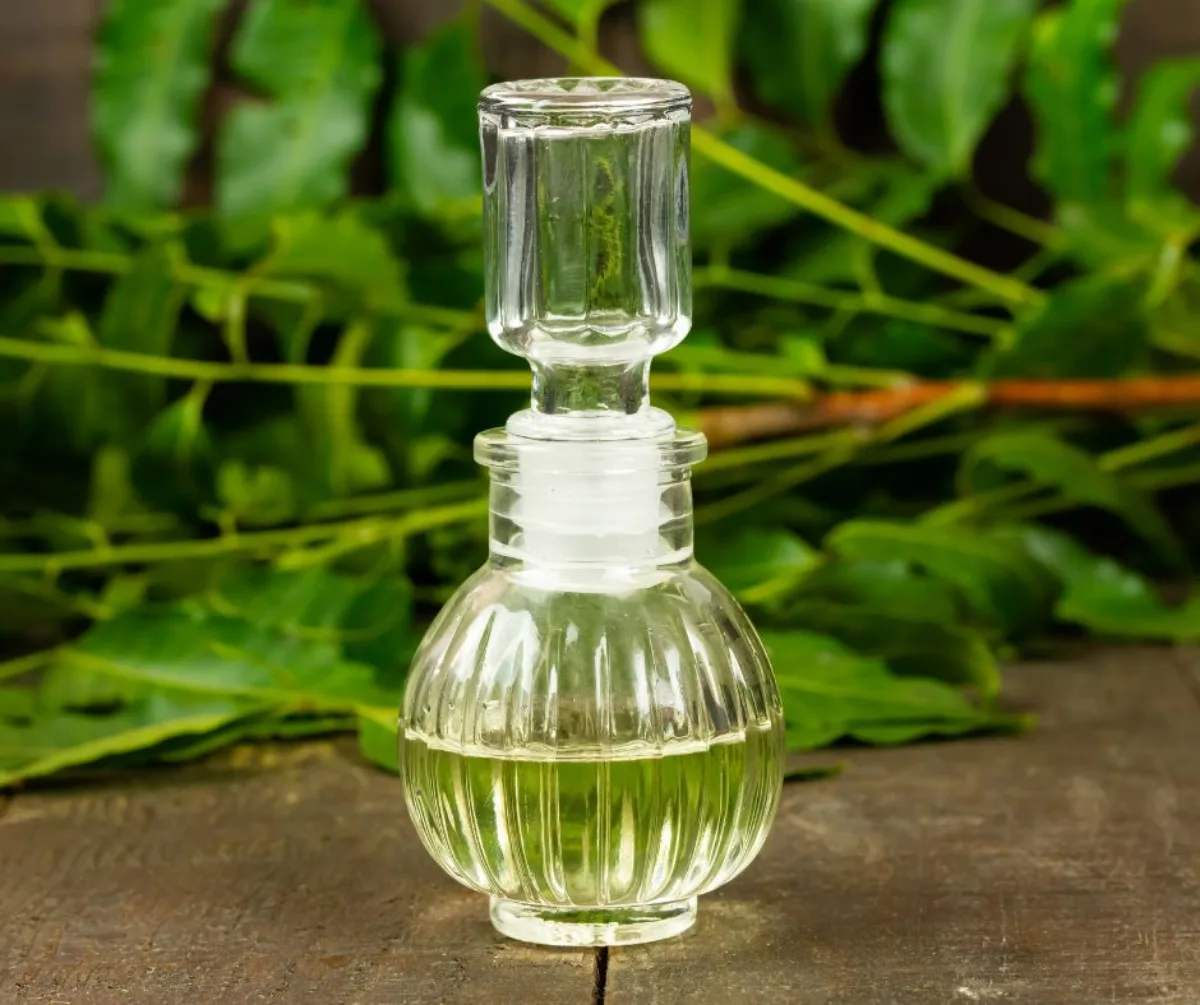 huile de neem comme anti cochenille naturel au potager