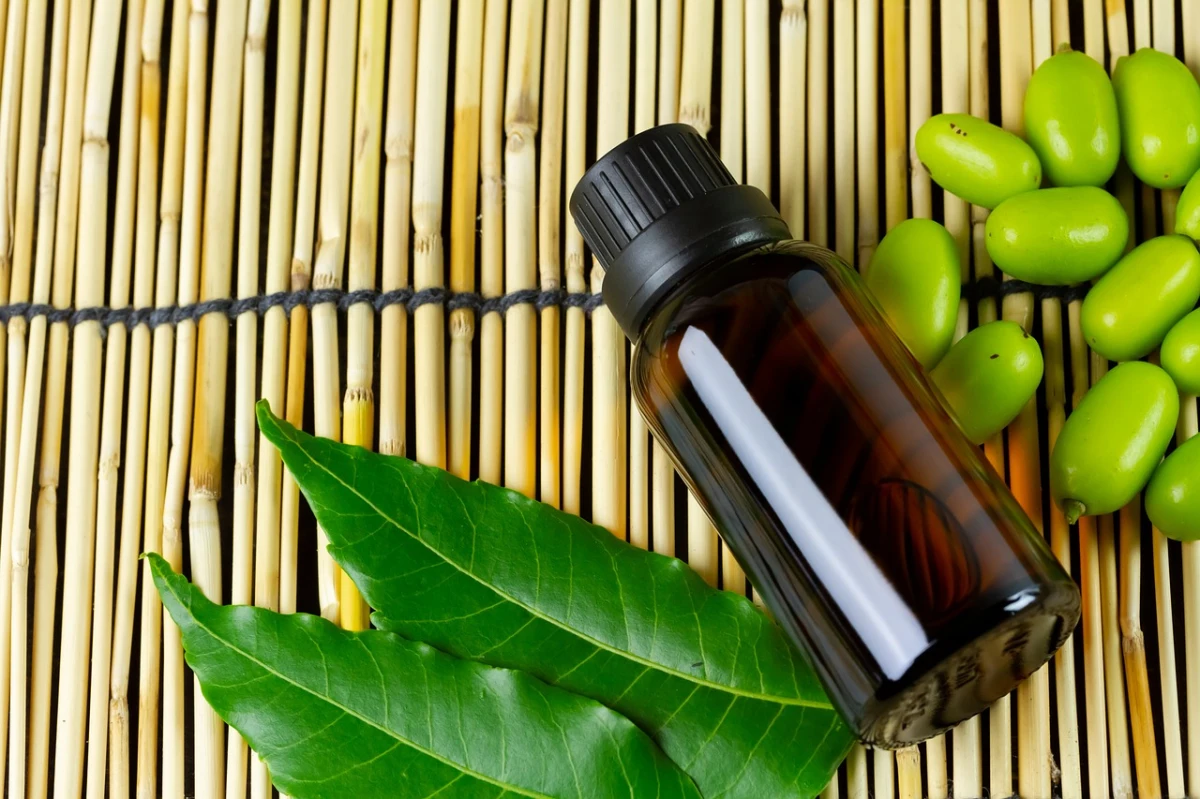 huile de neem contre pucerons feuilles vertes bambou bouteille en verre