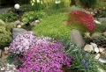 Que planter comme fleurs pour une rocaille fleurie tout l’été ? 10 propositions incontournables !