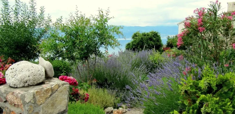 jardin meditereneen avec les plantes typiques qui le caracterisent