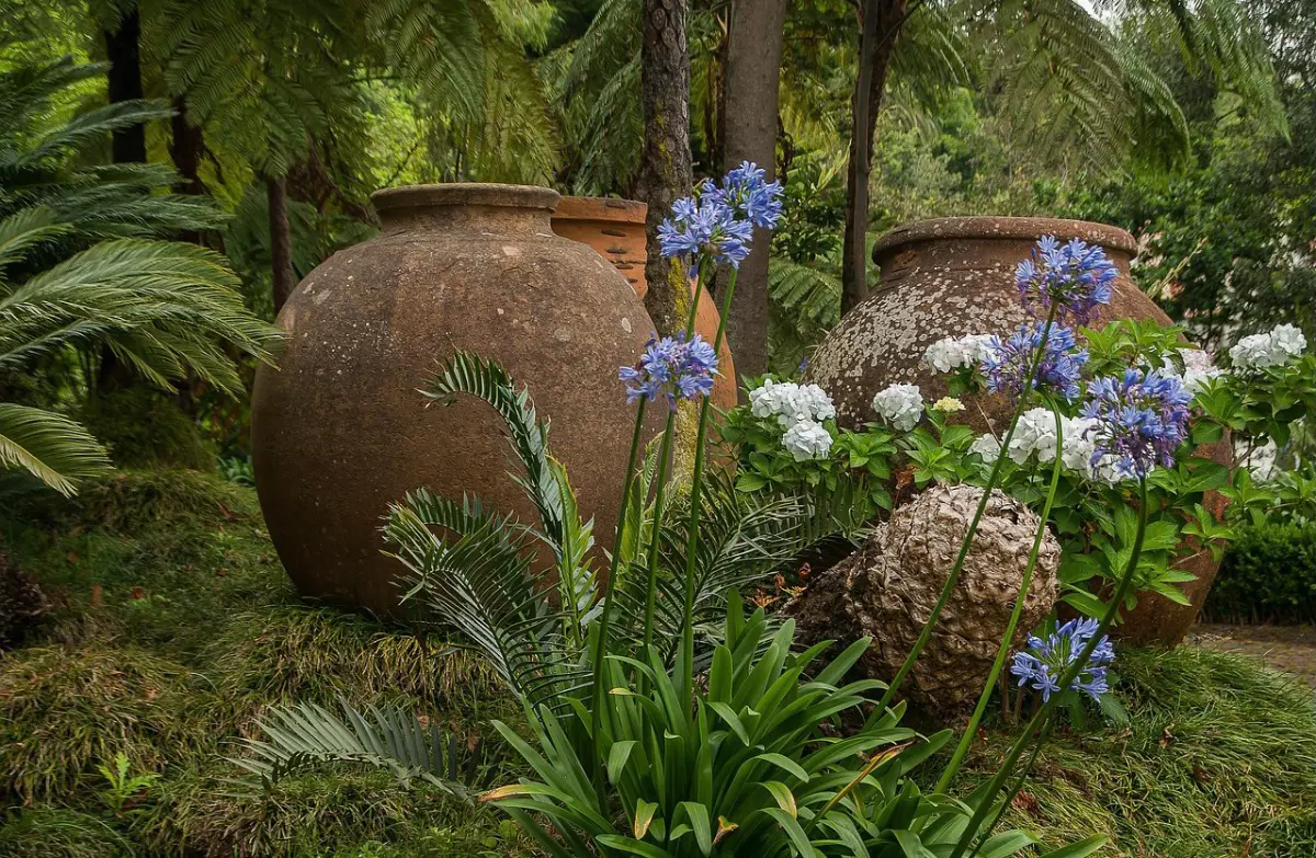 jardin tropical avec trois pots geants en terre cuite et des agapanthes bleues au premier plan