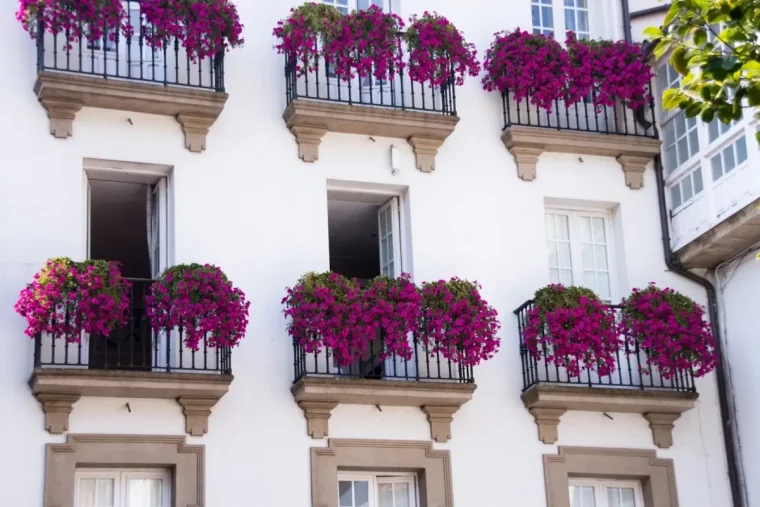 jardiniere plante retombante exterieur facade maison blanche balustrade fer forge