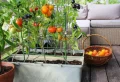 Que planter dans une jardinière balcon ? Les idées star pour végétaliser l’extérieur