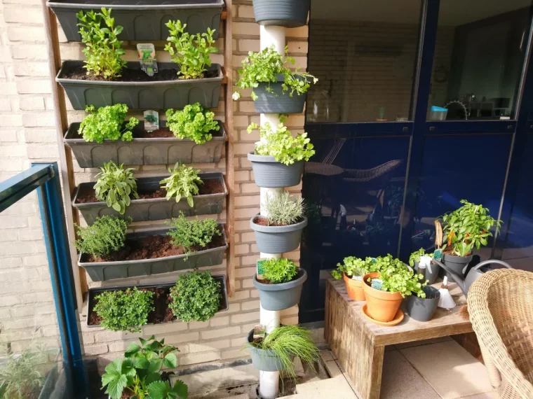 legume jardiniere balcon potager vertical salades herbes aromatiques