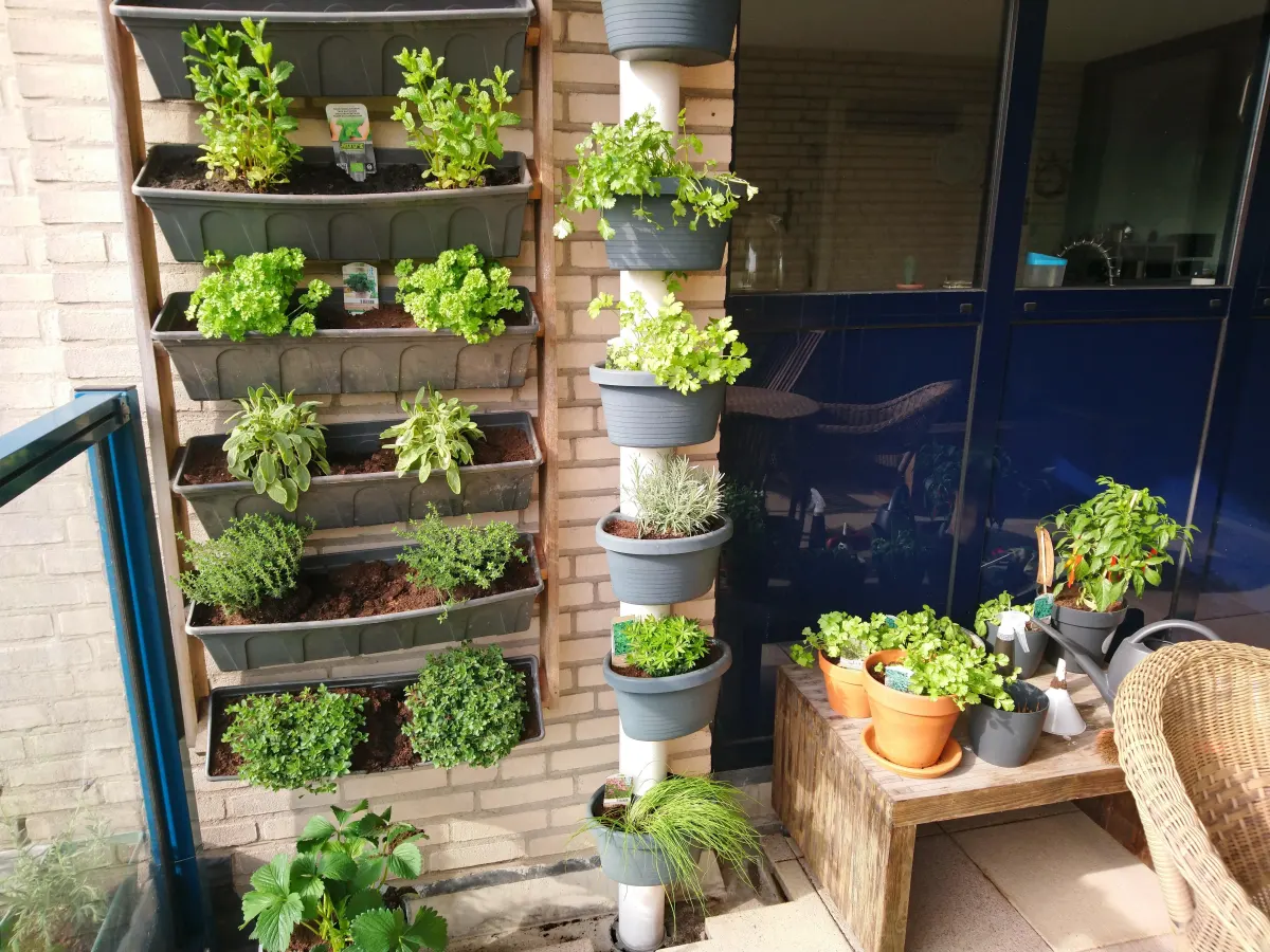 legume jardiniere balcon potager vertical salades herbes aromatiques