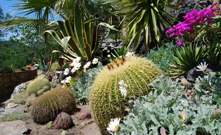 magnifique jardin mediteraneen sur un terrain en pente avec une diversite de plantes succulentes cactus arbustes fleuris et des herbes