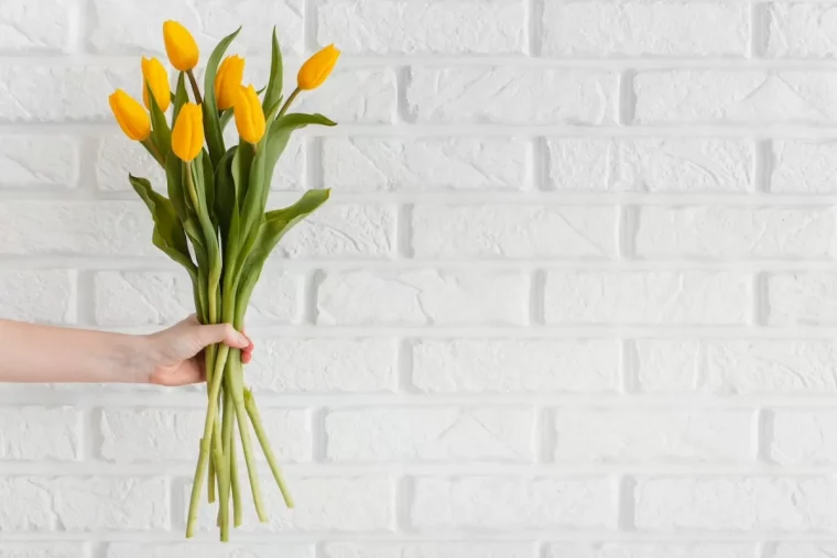 mur briques blanches tulipes jaunes tiges longues femme main