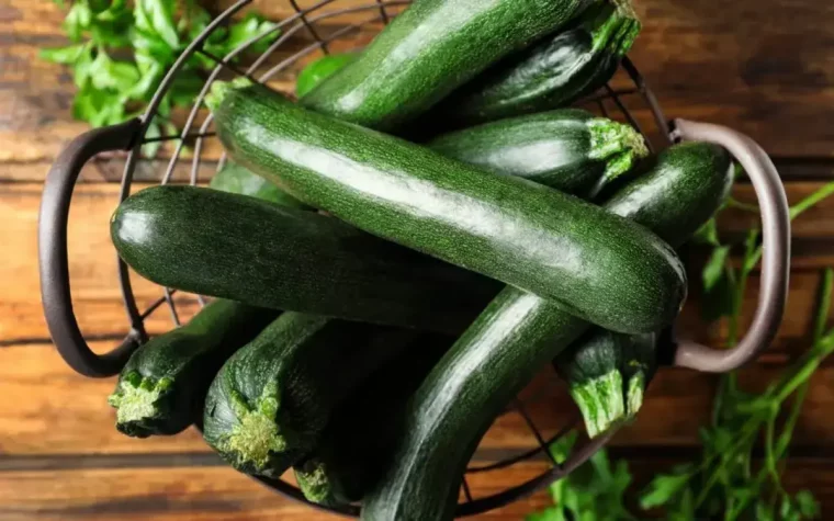 panier en metal rempli de courgettes quand et comment les tuteurer