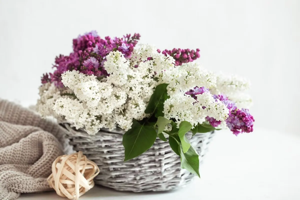 panier tresse blanc gris bouquet lilas plaid crochet objets deco