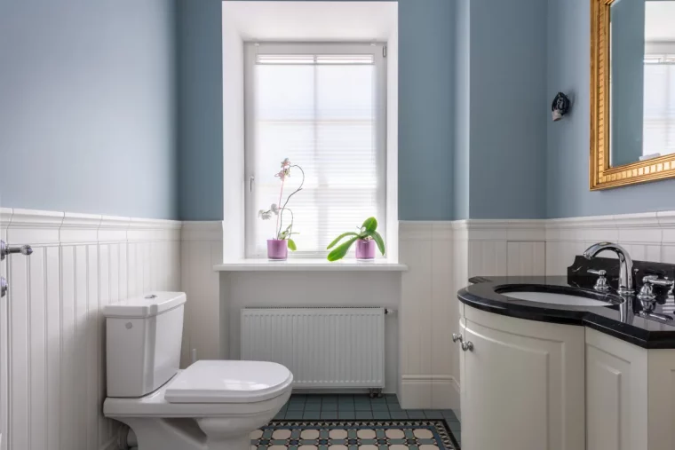 peinture bleue miroir cadre dore cuvette wc blanc evier noir robinet inox