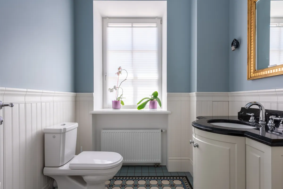 peinture bleue miroir cadre dore cuvette wc blanc evier noir robinet inox