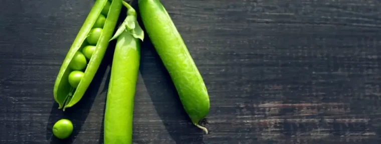 petits pois dans une cosse legume a planter a cote des patates