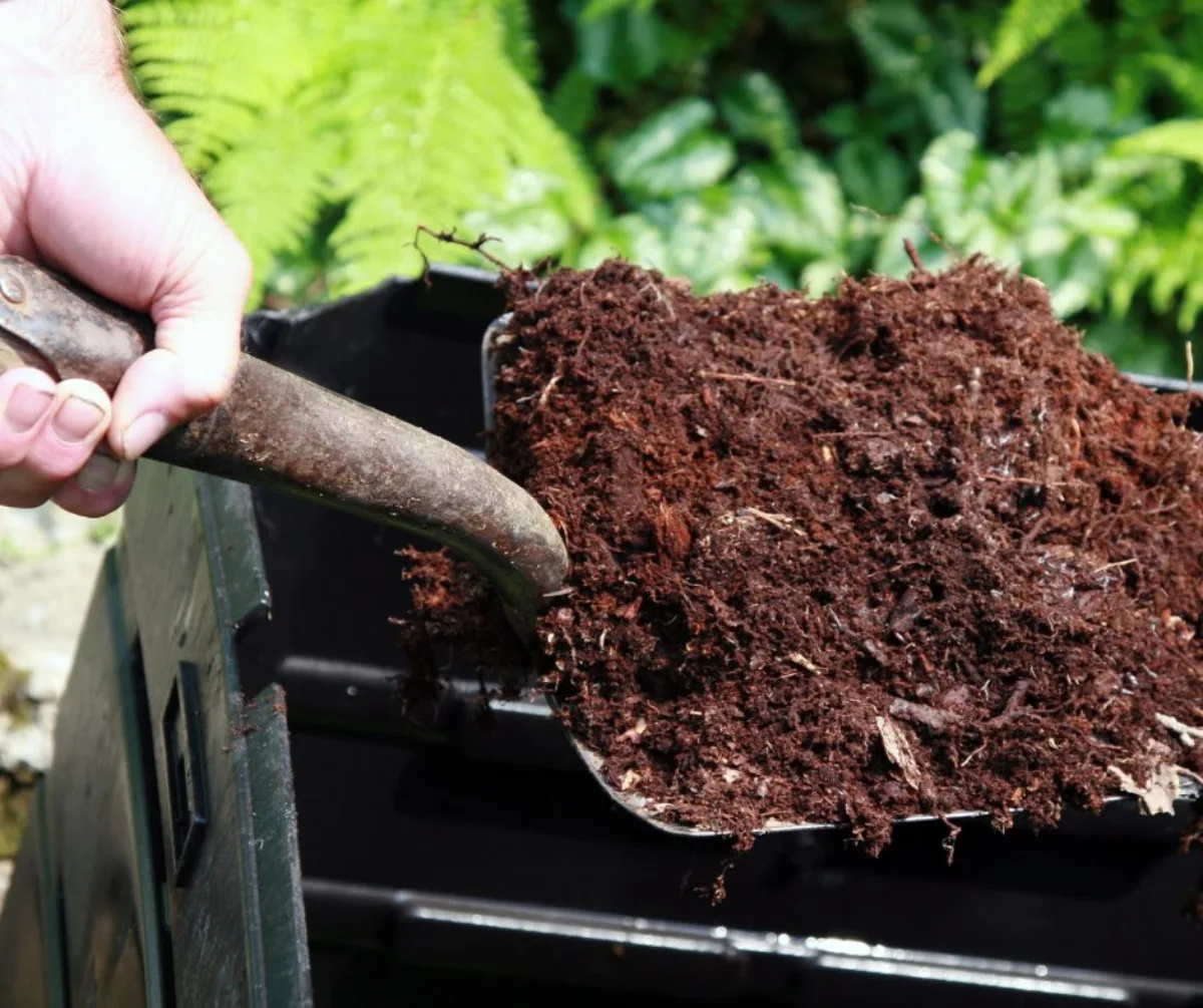 que mettre au pied des hortensias à la plantation du compost comme engrais