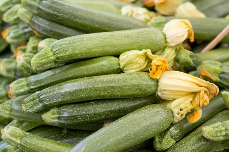 tas de courgettes avec fleurs comment les tuteurer et quand le faire