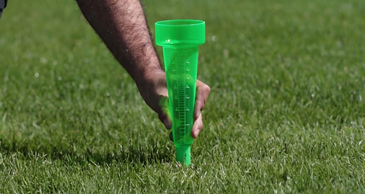 un bras poilu qui fixe un pluviometre en plastique vert sur une pelouse