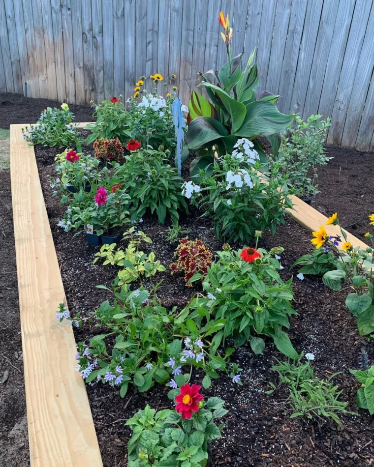 un parterre de fleurs sans mauvaises hebres