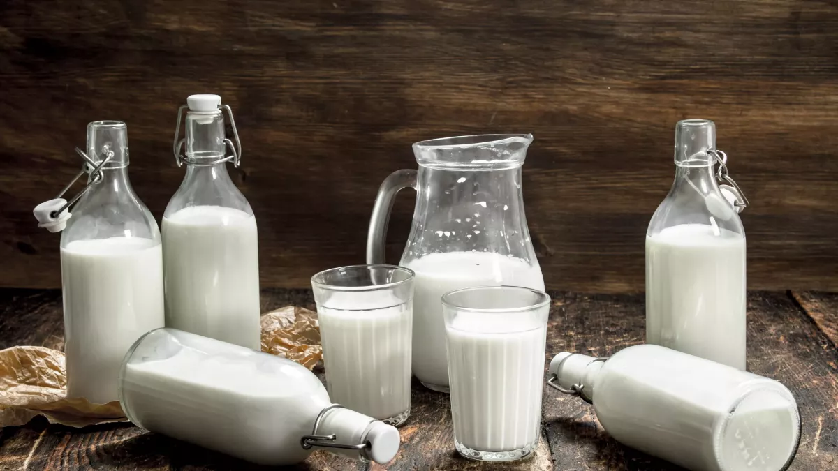 verres et carafes de lait comment utiliser lait contre mildiou