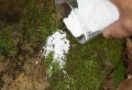 Comment enlever la mousse entre les pavés en 1 heure sans les endommager ? Astuces 100 % naturelles