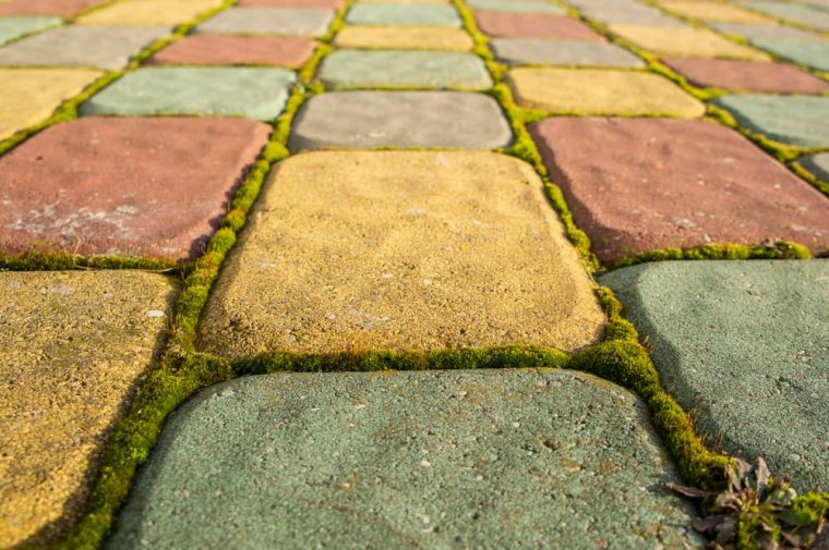 vinaigre blanc contre la mousse entre des paves colores