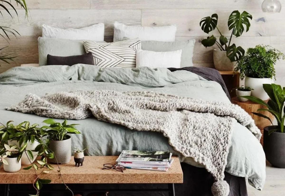 10 plantes pour votre chambre a coucher pour vous apaiser