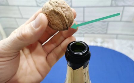 comment décortiquer des noix rapidement en grande quantité et entières main met unenoix sur legoulot de bouteille dechampagne