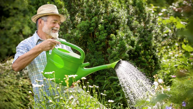 comment tester la qualité de sa terre vieuxjardinier arroose sesplante