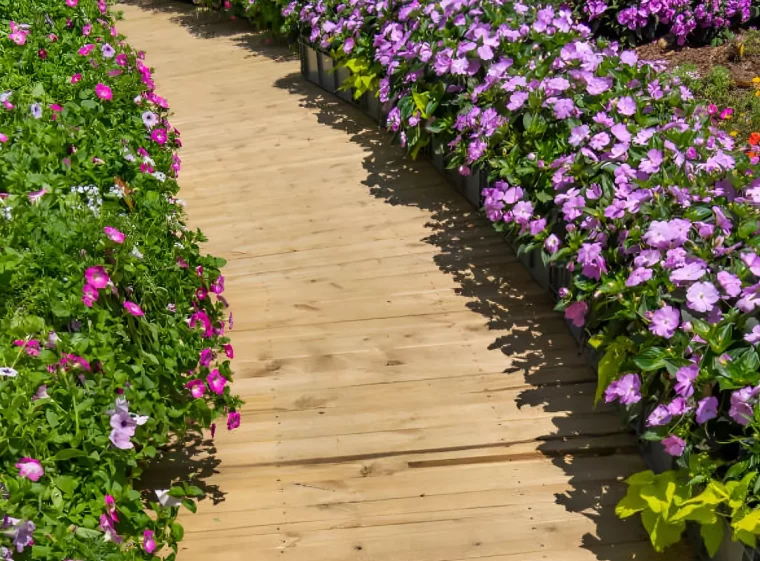 allee fleurie courbe avec des lattes en bois