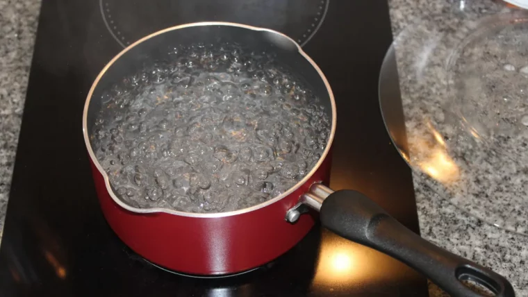 anti puceron traitement cendre bouillie dans unecasserole rouge