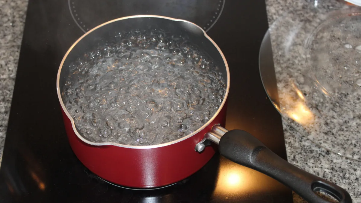 anti puceron traitement cendre bouillie dans unecasserole rouge