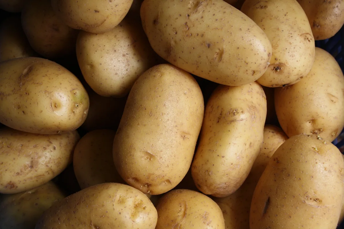 astuces pour conserver les pommes de terre au frais sans lumière