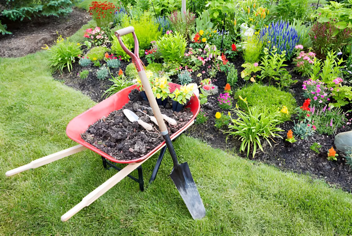chariot de jardin avec du fumier et des outils de jardin au premier plan sur une pelouse verte devant un jardin fleuri