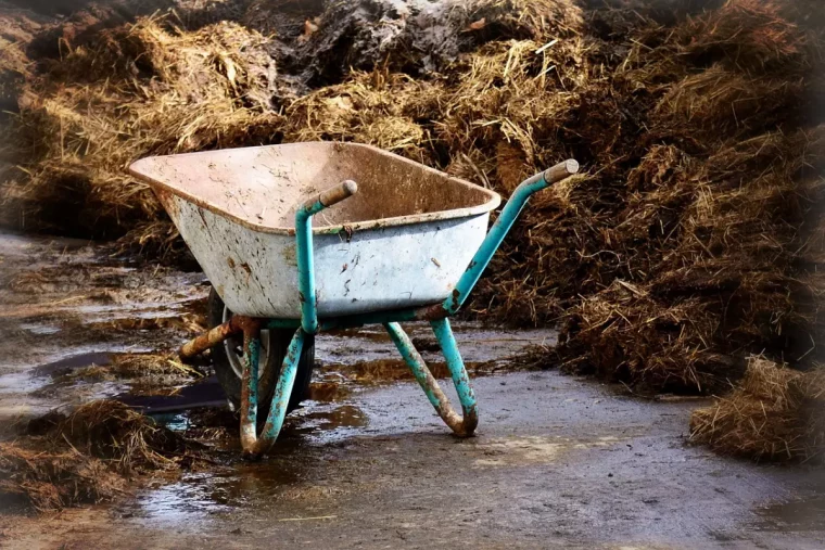 chariot de jardin devant un tas de fumier sur un sol betonne