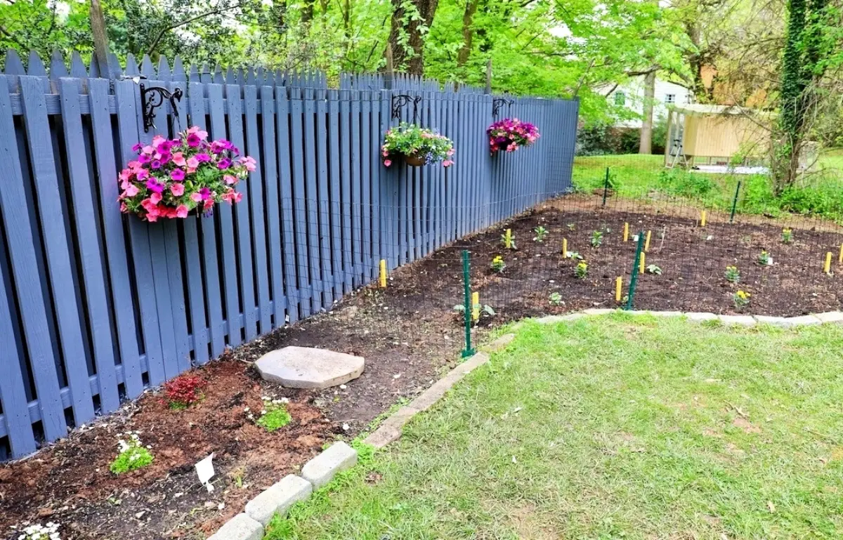 cloture bois peinture bleu plantes suspendues jardinieres gazon amenagement paysager