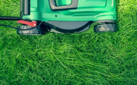 comment bien tondre la pelouse idée gazon vert hauteur de tonte conditions