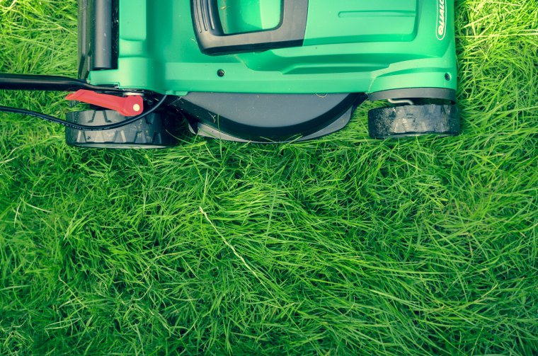 comment bien tondre la pelouse idée gazon vert hauteur de tonte conditions