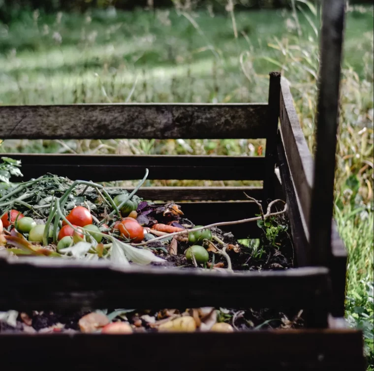 comment faire fuir les mouches methode preventives compost maison