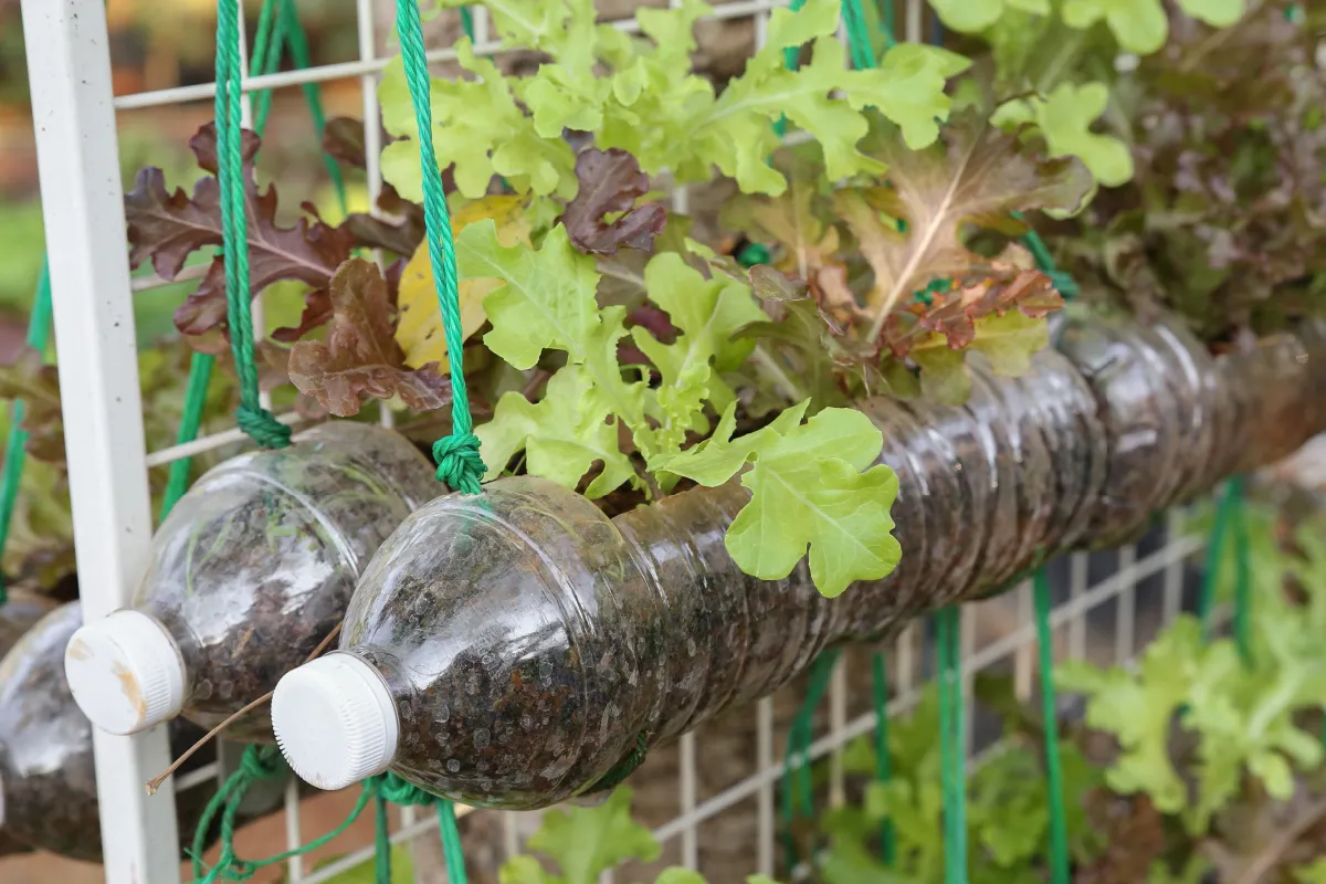 comment faire un jardin vertical et quels legumes planter bouteilles 2