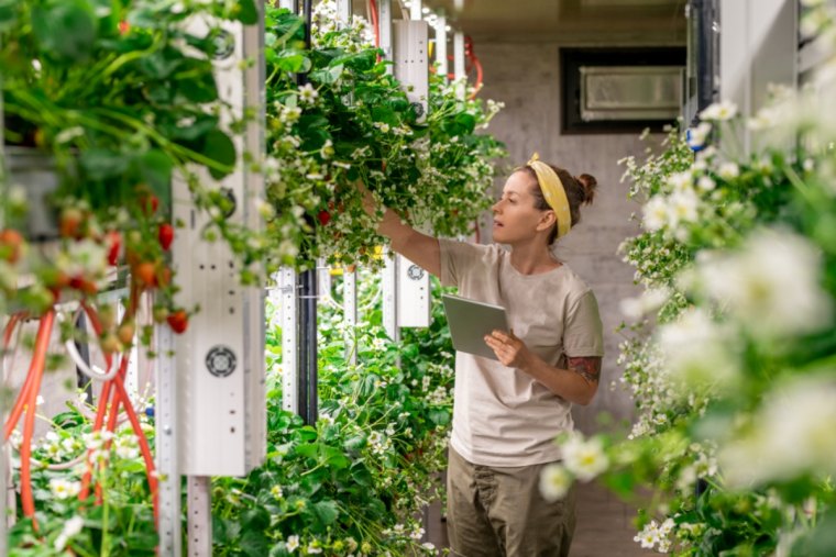 comment faire un jardin vertical et quels legumes planter couv