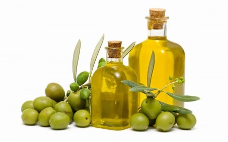 comment reconnaitre bonne huile dolive 2bouteilles avec olives
